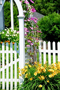 Landscape Photos: Arbor