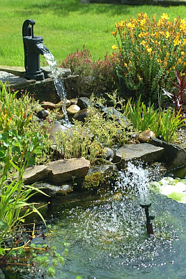 Landscape Photos: Water Garden